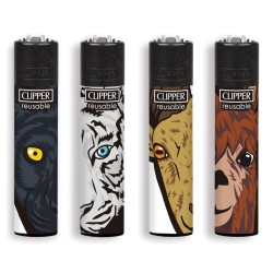 Clipper da collezione - Collezionismo In vendita a Treviso